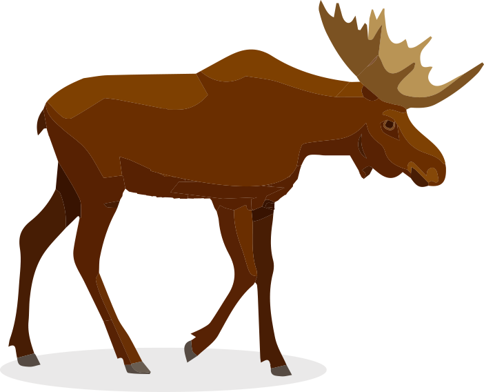 Bobcat - Moose (702x568)
