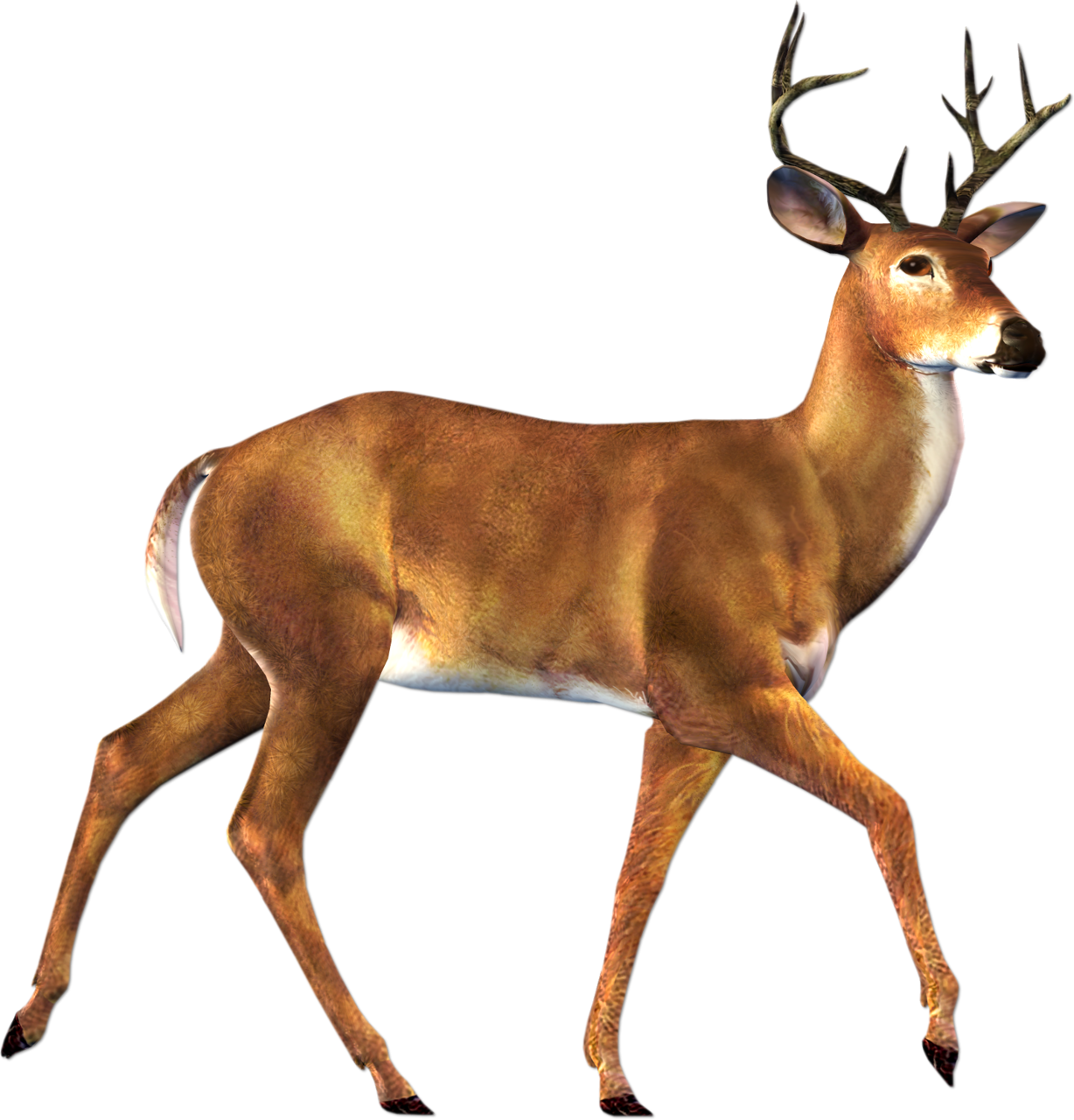 Whitetail Deer Something In The - Deer Png (1228x1280)