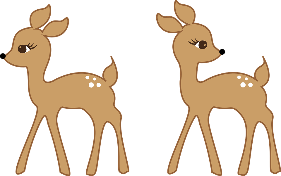 Bambi Clipart Fawn - Roe Deer (960x602)