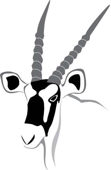 Zingela Forwarders Gemsbok - Zingela Safari & River Company (362x550)