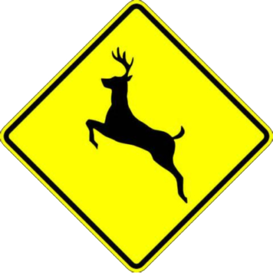 Deer Crossing Street Signage - Deer Crossing Sign (538x538)