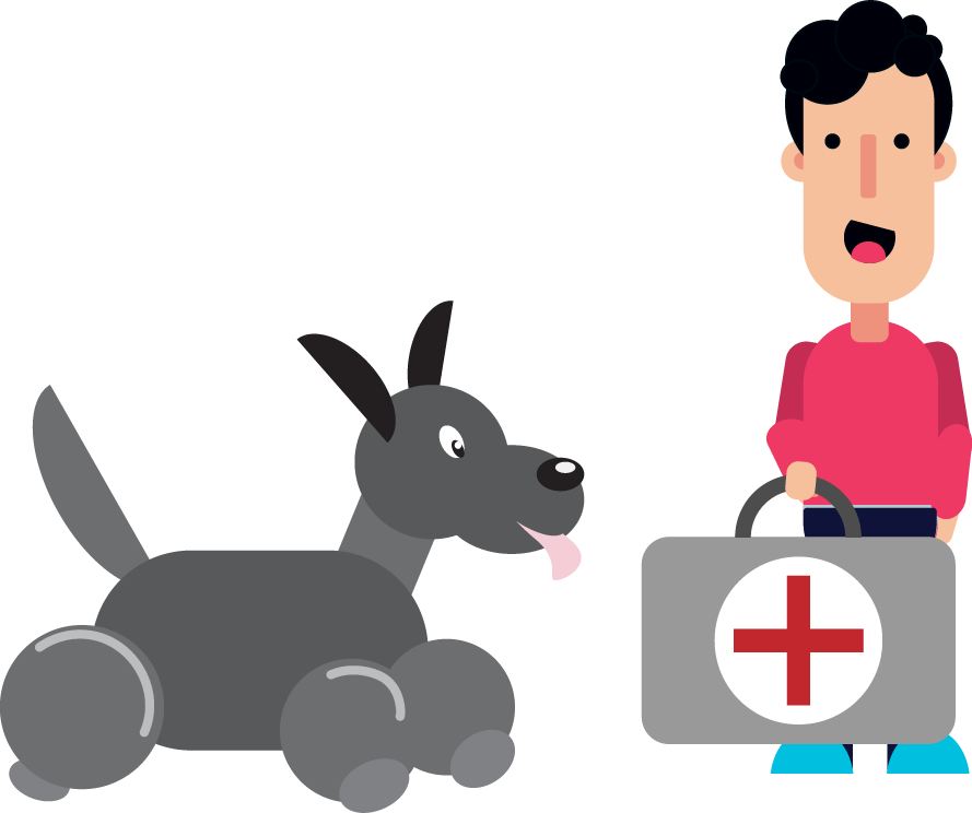 Specific Hunting Dog Health Problems - Dog (889x744)