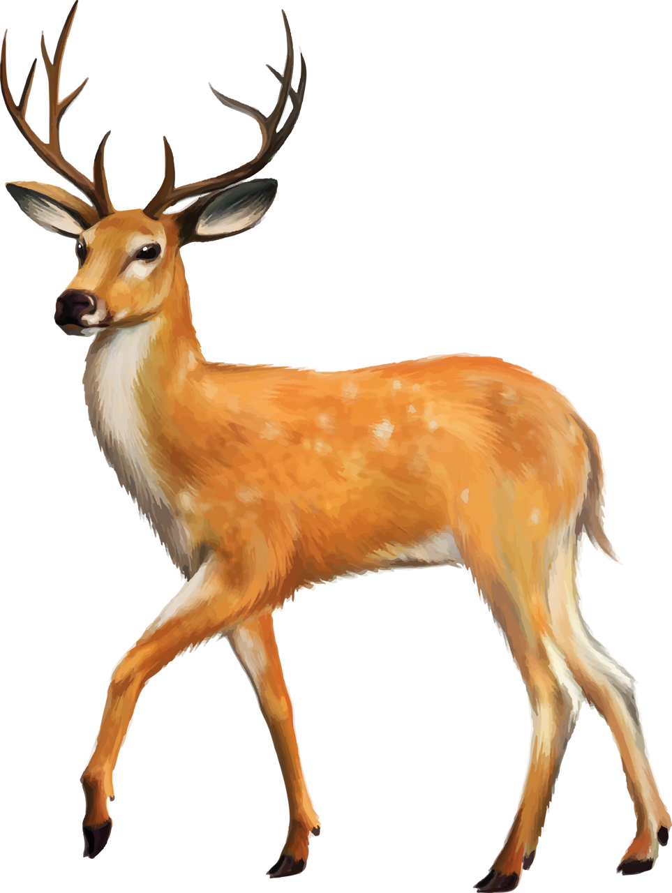 Яндекс - Фотки - Animals With Four Legs (963x1280)