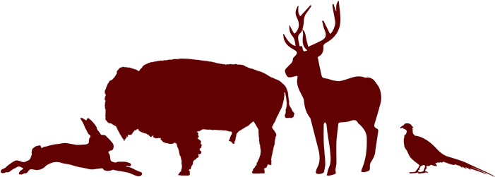 Animal - Little B Cutting Die-wildlife (700x258)