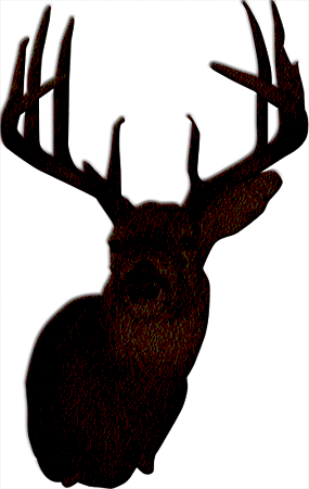 Wisconsin Trophy Whitetail Hunting Preserve - Outfitter (285x450)