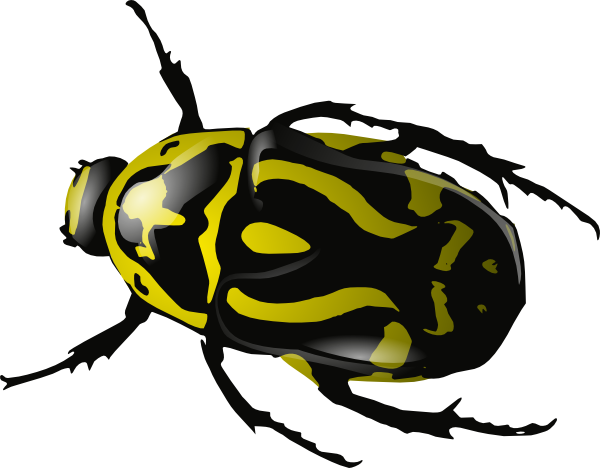 Beetles Clipart Bug Pencil And In Color Beetles Clipart - Beetles Clipart (600x468)