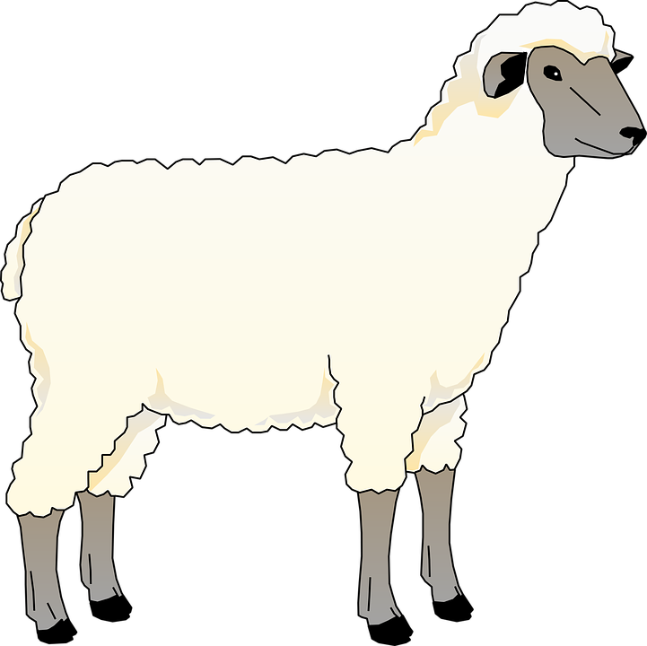 Farm Animals Sheep Clipart (721x720)