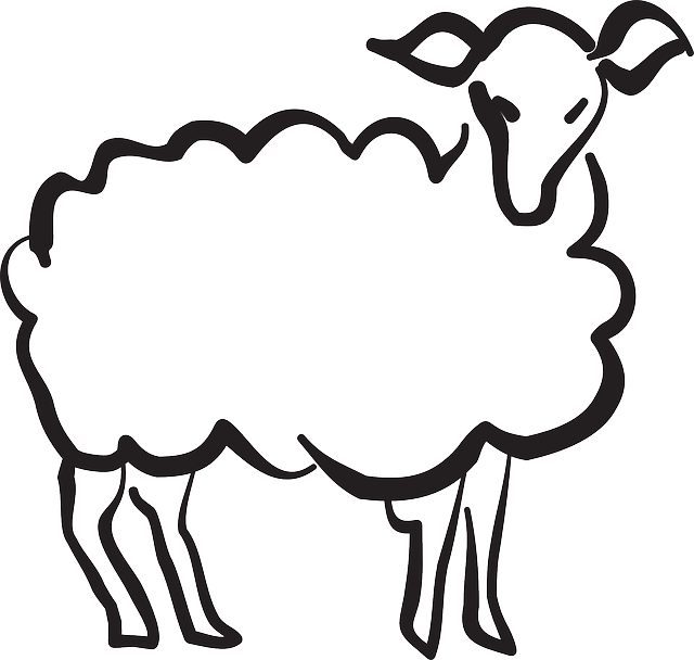 Stylized, Drawing, Style, Art, Lamb, Animal - Stylization Animals (640x608)