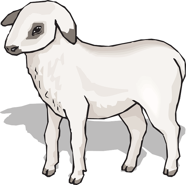 Color, Art, Standing, Lamb, Animal - Clip Art (640x638)
