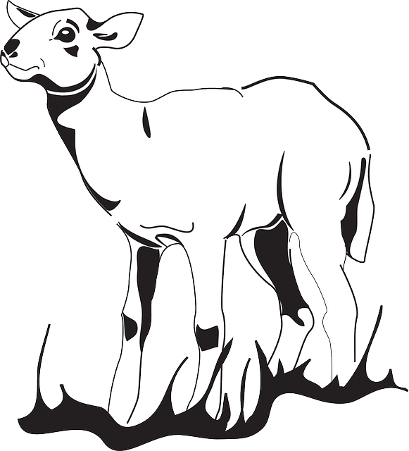 Grass, Looking, Art, Standing, Lamb, Animal - Transparent Siluett Lamm (581x640)