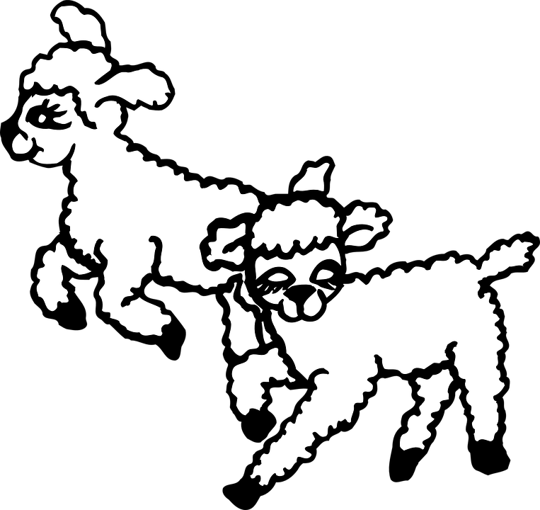 Lambs Clipart Black And White (763x720)