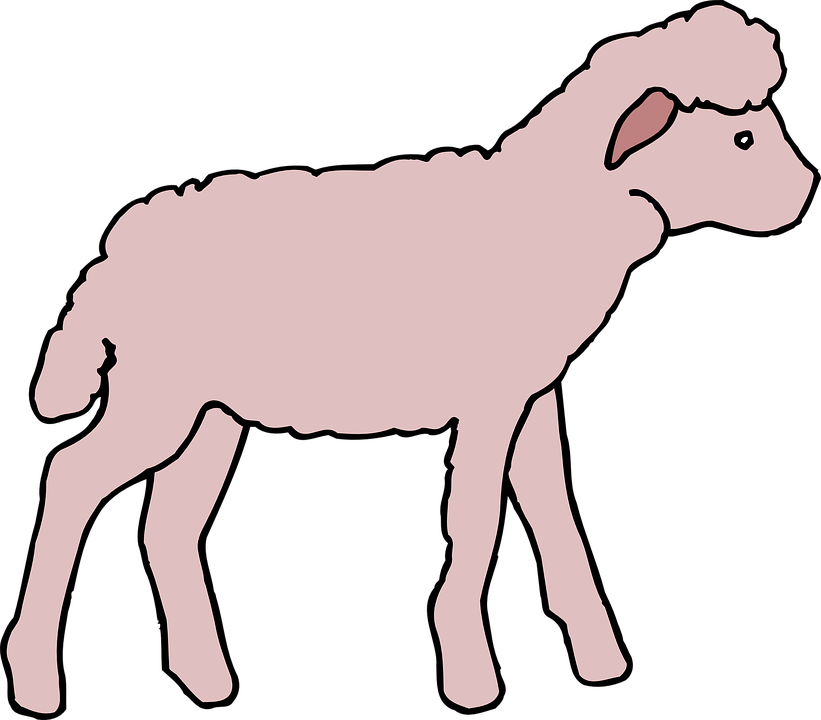 Color, Art, Lamb, Animal, Fluffy - Pink Lamb (821x720)