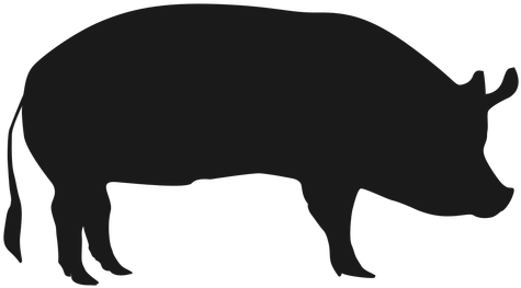 Pig Silhouette Transparent Png & - Pig Png (512x512)