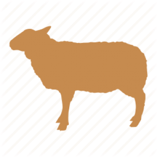 Sheep Icon (600x315)