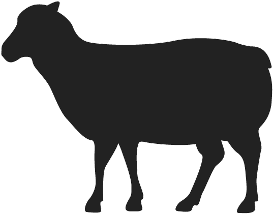 Beef Pork Chicken Lamb - Butcher (960x540)