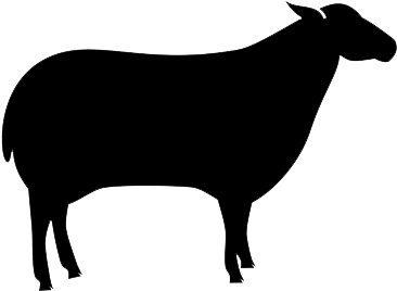Lamb - Siluet Kambing Png (400x400)