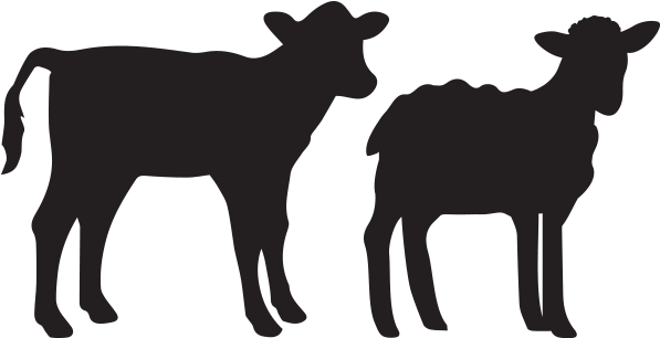 Lamb - Veal - Veal Silhouette (600x600)