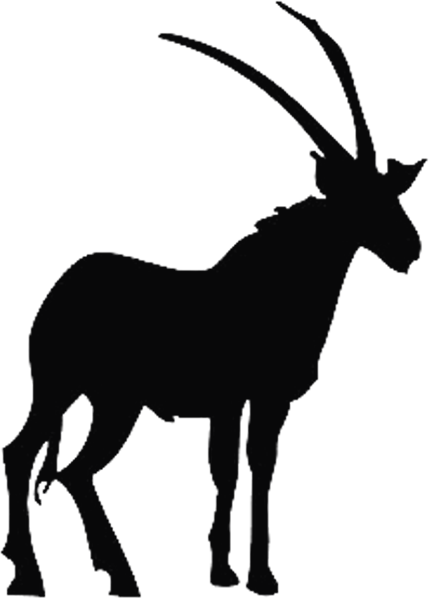 Sheep Antelope Download U7f8a - Sheep (429x598)