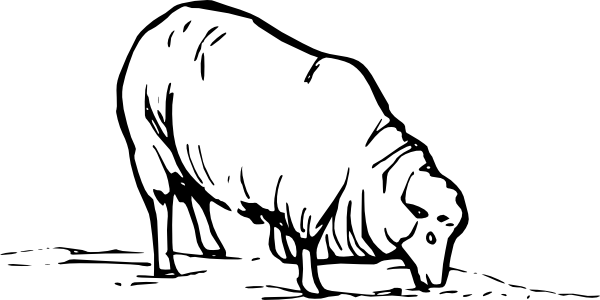 Sheep Clip Art (600x300)