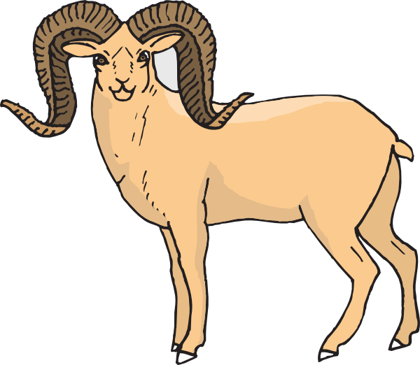 Desert Bighorn Sheep Clipart (600x522)