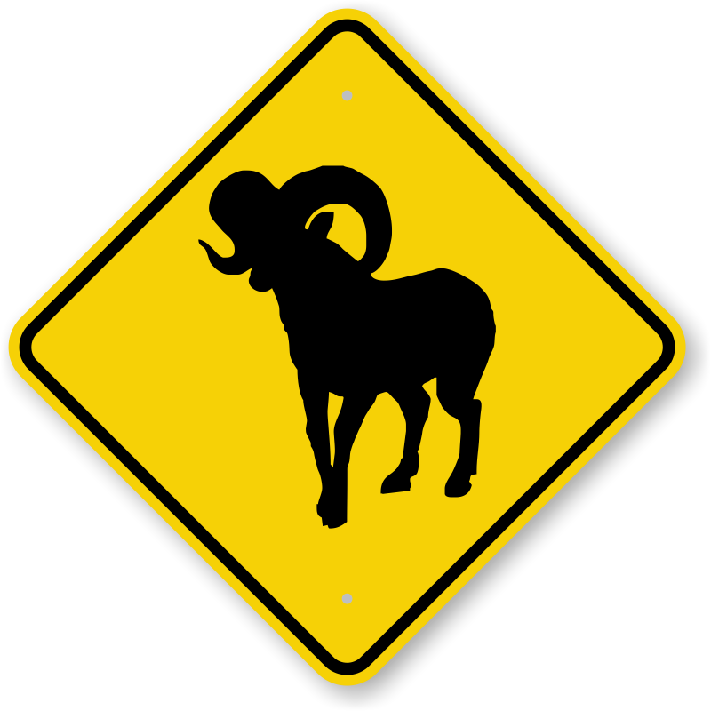 Bighorn Sheep Animal Crossing Sign - Slippery When Wet Sign Clipart (800x800)