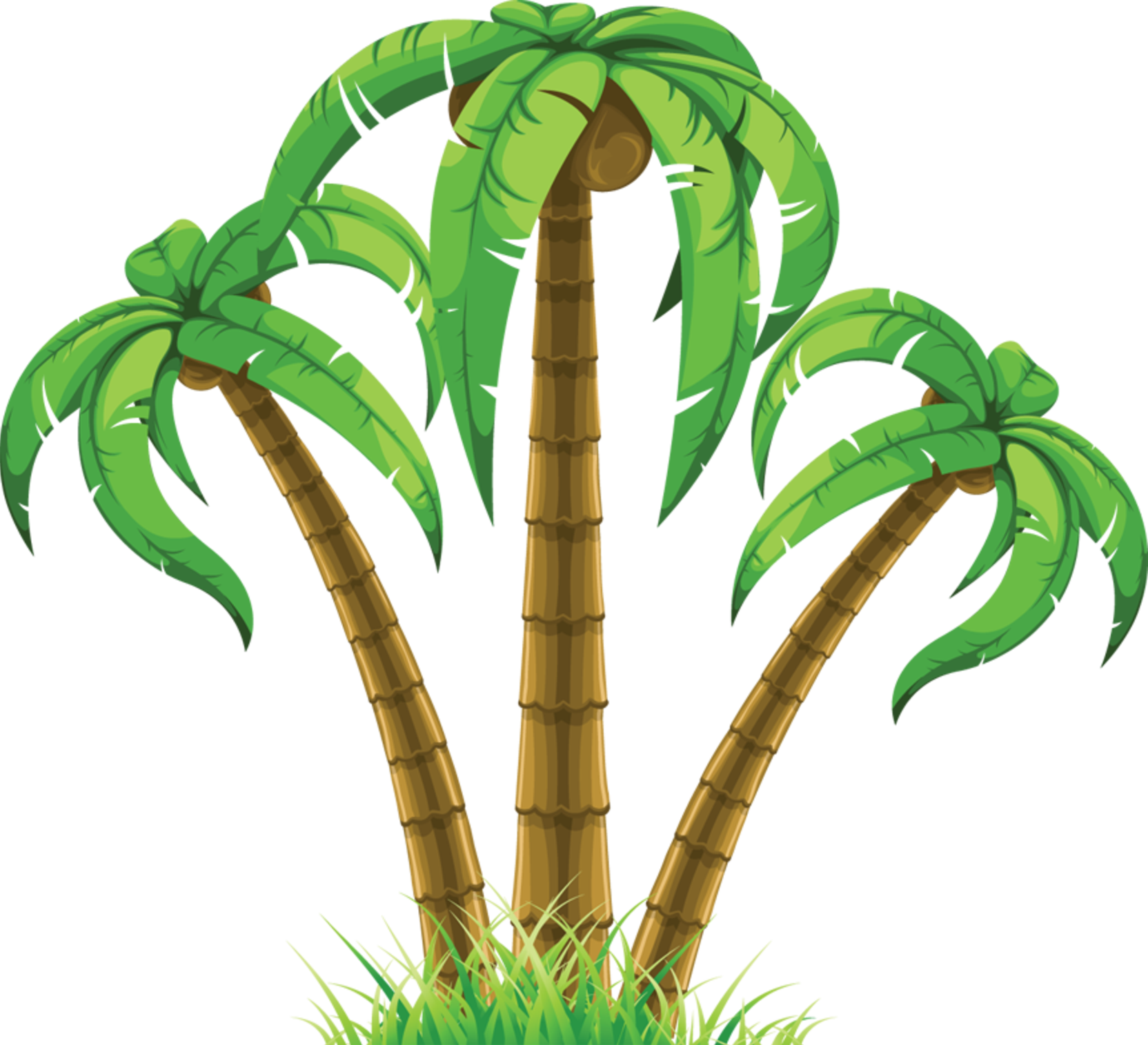 Palm Clip Art - Palm Trees Clip Art Png (1664x1515)