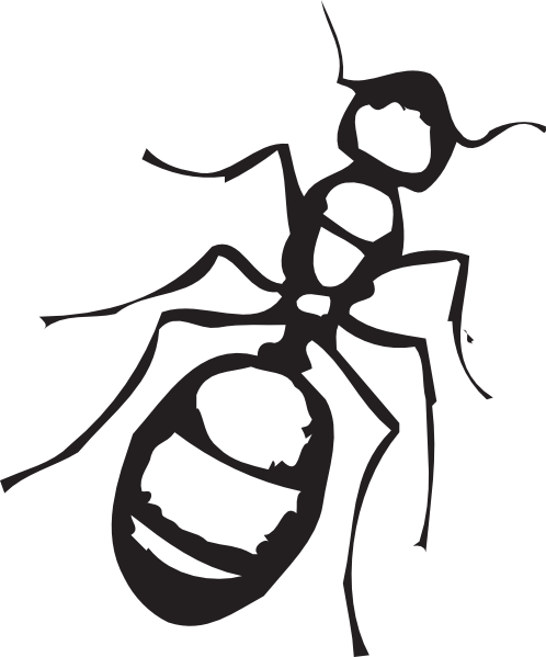 Sketch Of An Ant Png Clip Art - Black And White Ant (498x599)