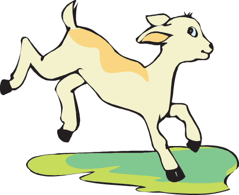 Baby Goat - Baby Goat Png Cartoon (493x402)