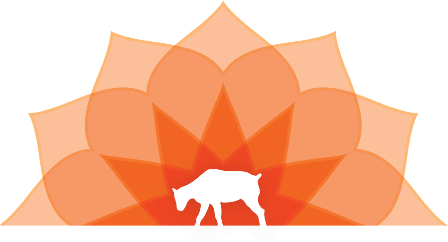 Buy A Goat - Geometry (898x516)