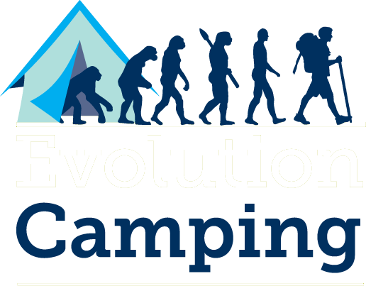 Pole Vault Evolution Rectangle Magnet (516x403)