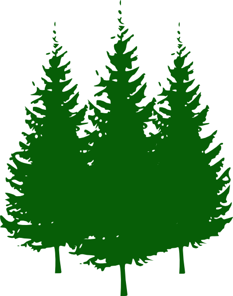 Pine Tree Clip Art 473543 - Clip Art Pine Trees (468x596)
