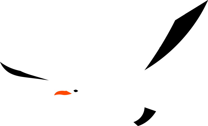 What To Do In Flø - What To Do In Flø (800x483)