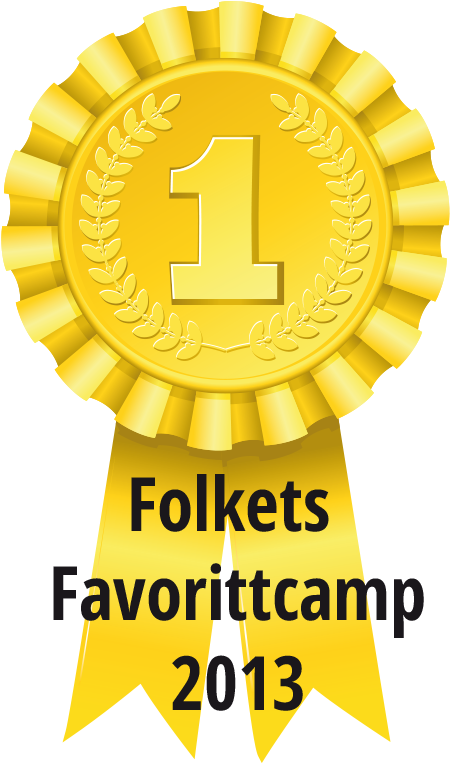 Folkets Favoritt - Mrs Fields Cookie Cake (505x762)