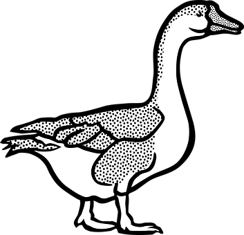 Animal, Farm, Geese, Goose, Tier - Goose Black And White (353x340)