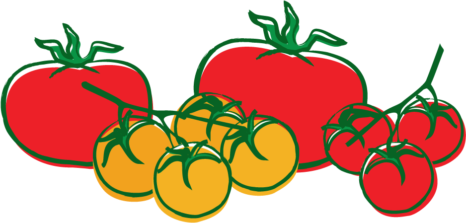 Tajin Jalapeno Pepper - Home Farmer Tomato Seed Kit (1000x500)