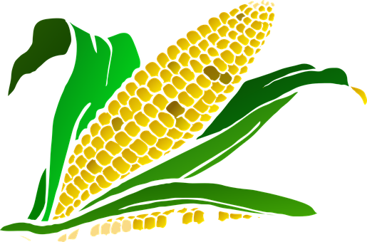 106 Free Vector Graphics Of Crop - Maize Plant Clipart (600x398)