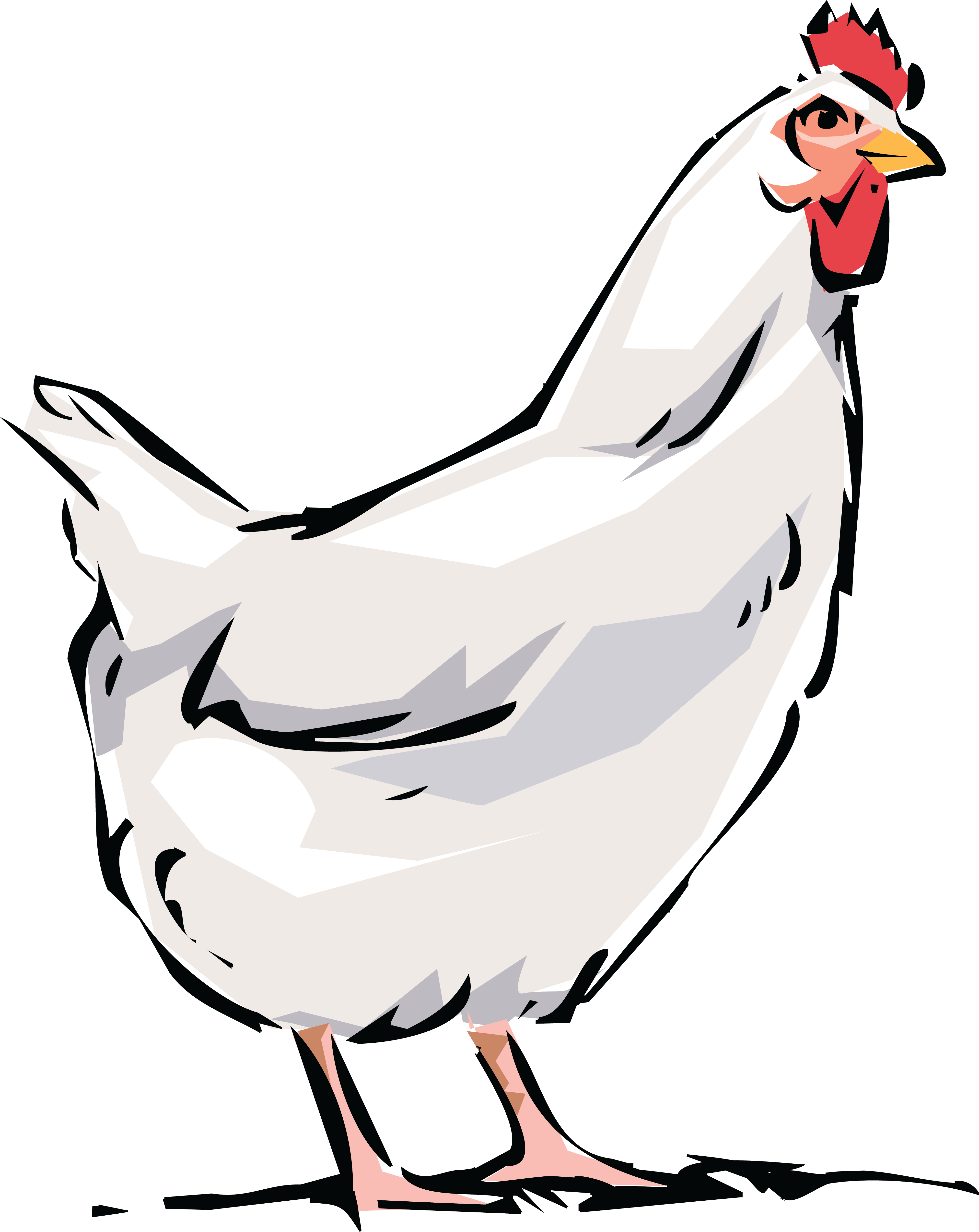 Free Clipart Of White Hen - White Hen Clipart Png (4000x5030)