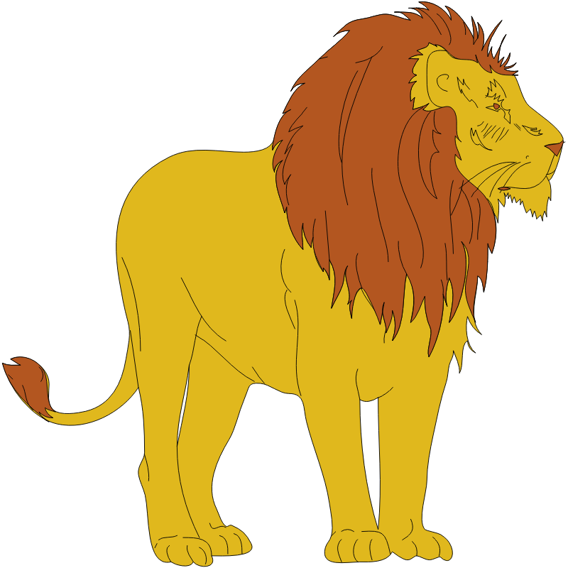Male Lion - Animated Pictures Of Lion (800x800)