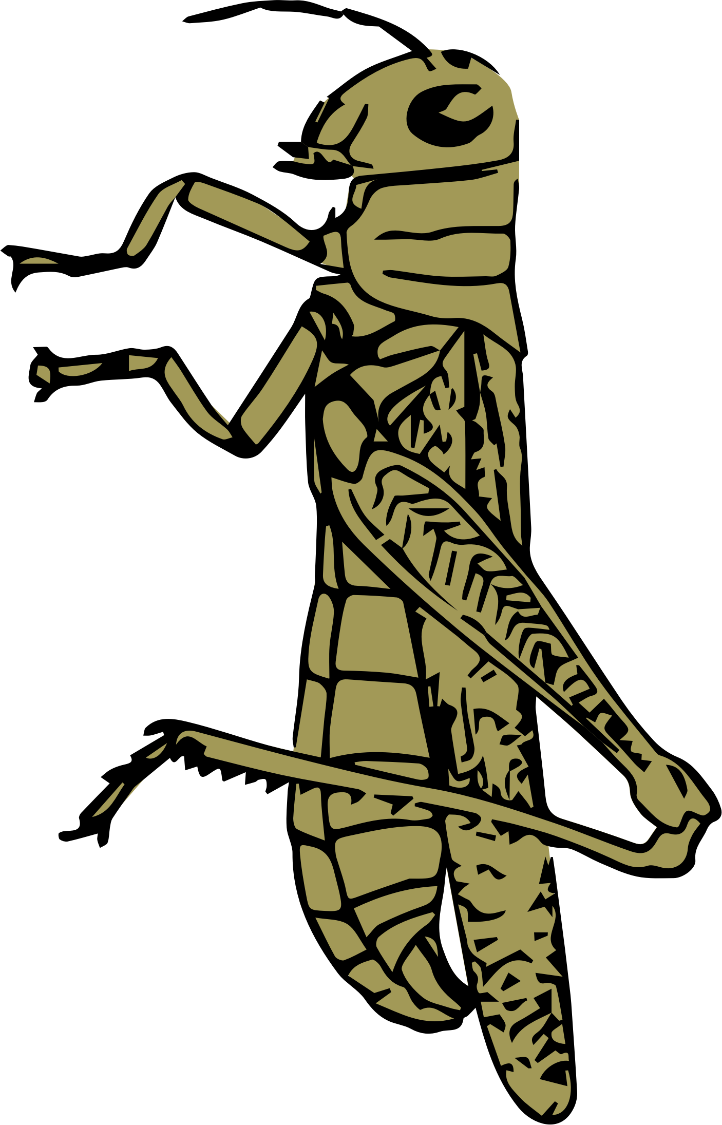 Colouful Clipart Grasshopper - Grasshooper Clip Art Colors (1406x2191)
