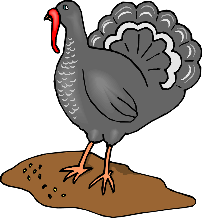 Turkey - Fowls Animals Clipart Turkey (698x750)