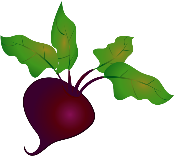 Farmers Market Ogden (800x679)