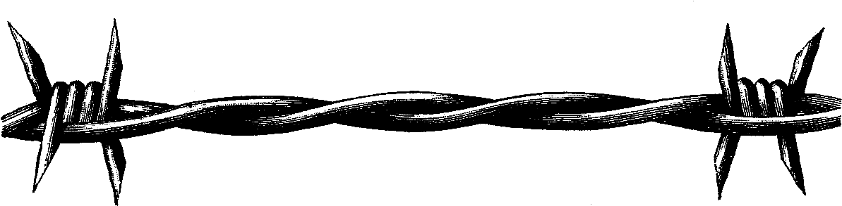 Barb Wire Clipart - Barbed Wire Clip Art (1383x365)