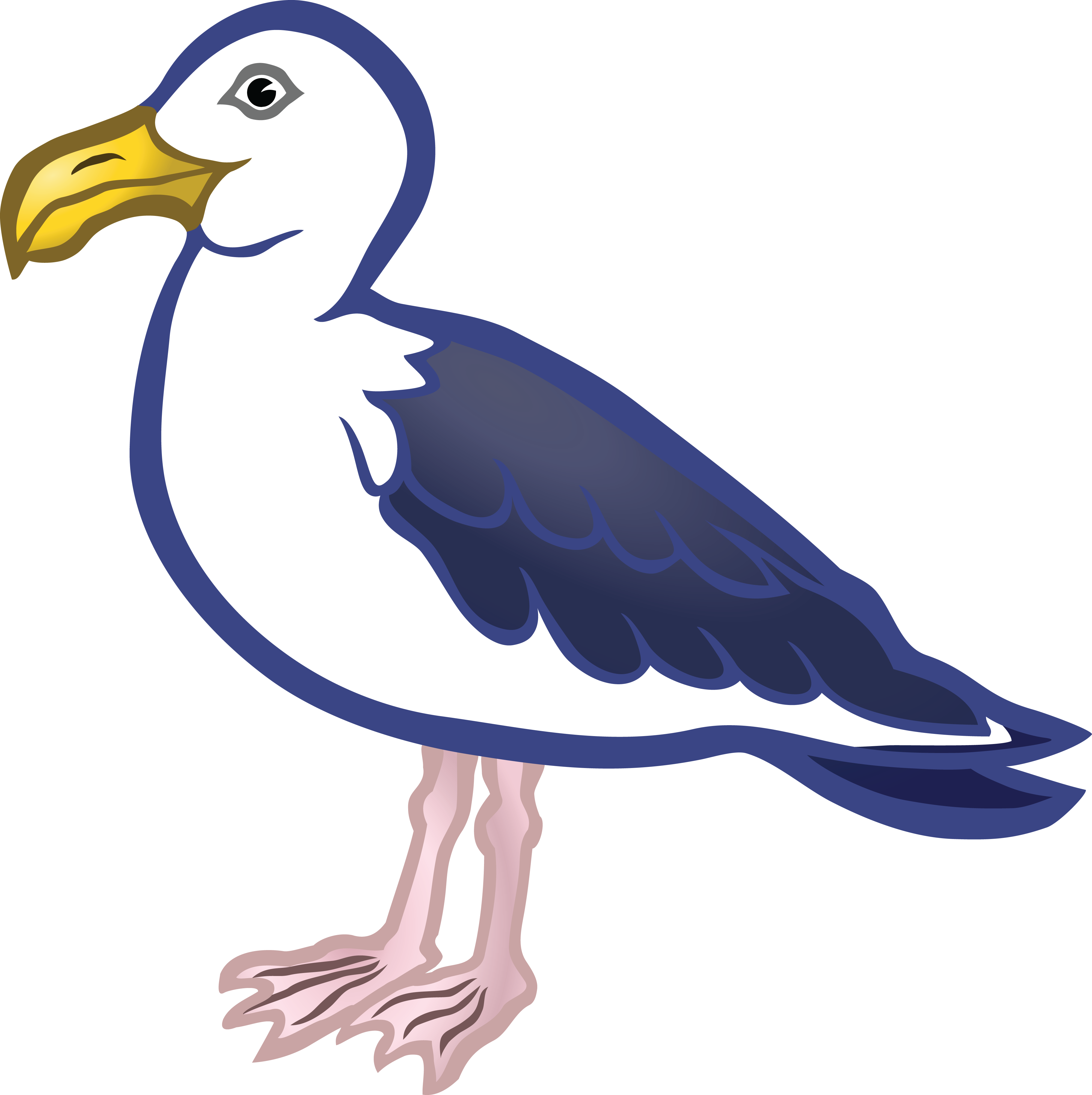 Free Clipart Of A Seagull Bird - River Bird Transparent (4000x4012)