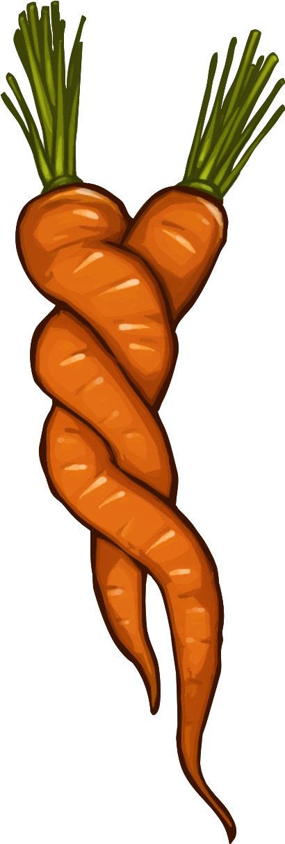 Farm Clipart Farmer's Market - Baby Carrot (582x1324)