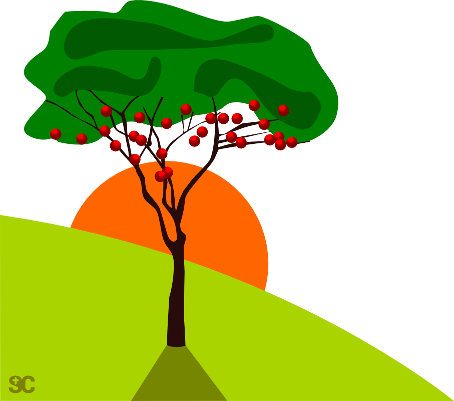 15th Sunday In Ordinary Time - 15th Sunday In Ordinary Time Year (907x800)