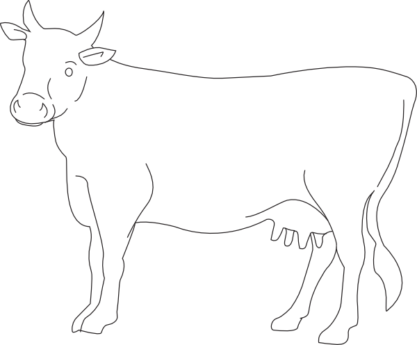 Cow Drawing Side View (600x496)