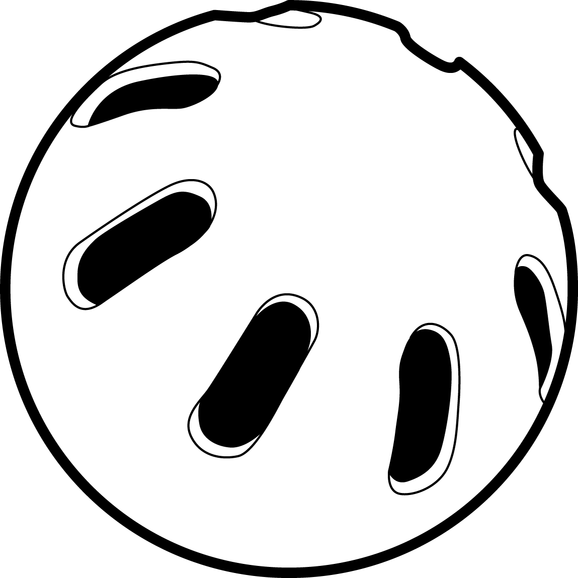 Nice Usable Wiffle Ball - Wiffle Ball Clip Art (1149x1149)