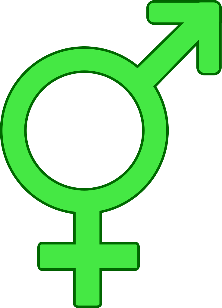 File - Symbole Hermaphrodite - Svg - Wikimedia Commons - Cross (737x1024)