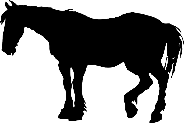 Head, Silhouette, Cartoon, Farm, Horse, Chicken - Horse Silhouette Clip Art (640x430)