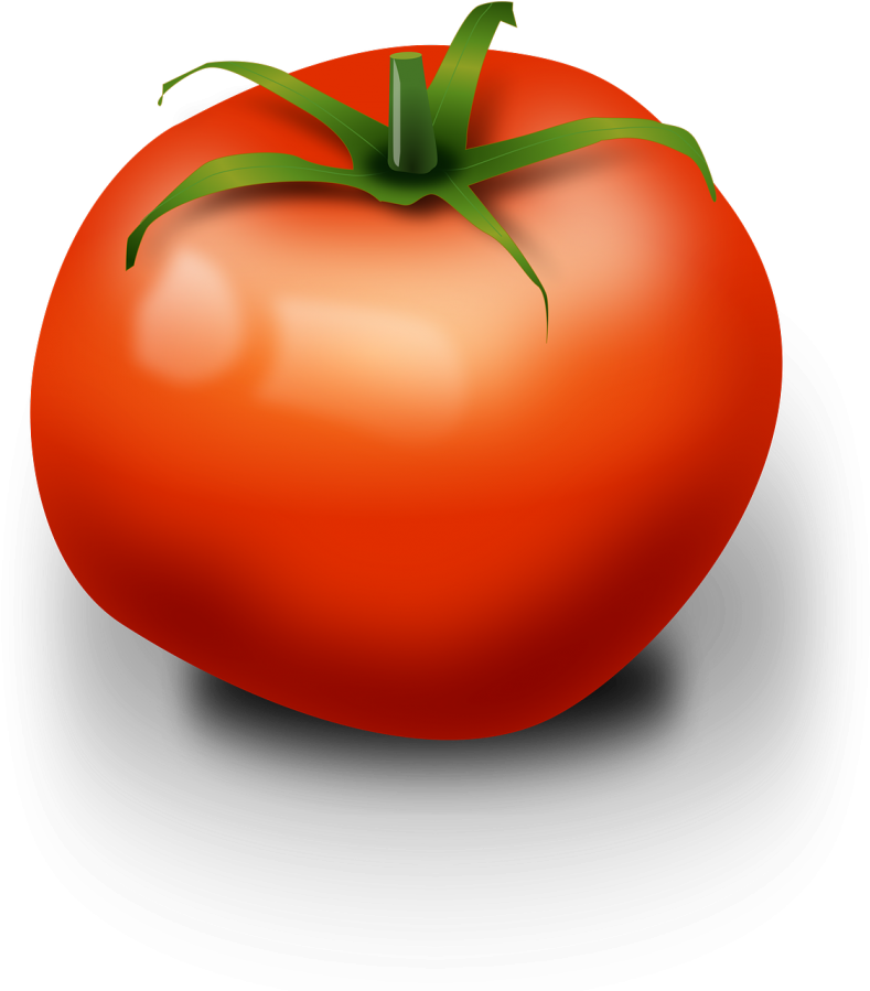 Vegetable Clipart - Tomato Clip Art (857x900)